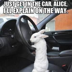 Meet your Posher, Dale